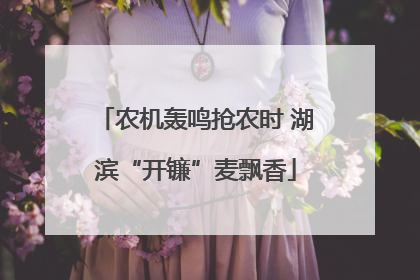 农机轰鸣抢农时 湖滨“开镰”麦飘香